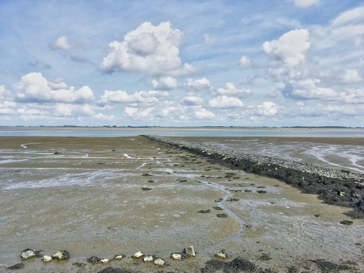 Artistiek Vakantiehuisje フルスト エクステリア 写真