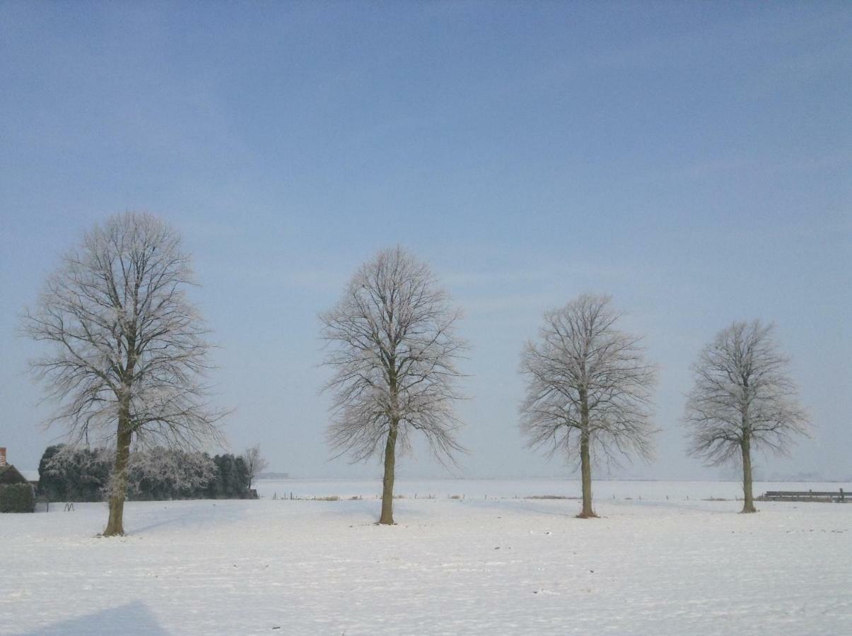 Artistiek Vakantiehuisje フルスト エクステリア 写真